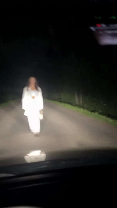 Встреча со львом
