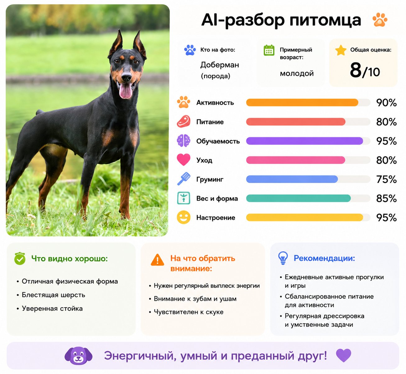 AI разбор питомца