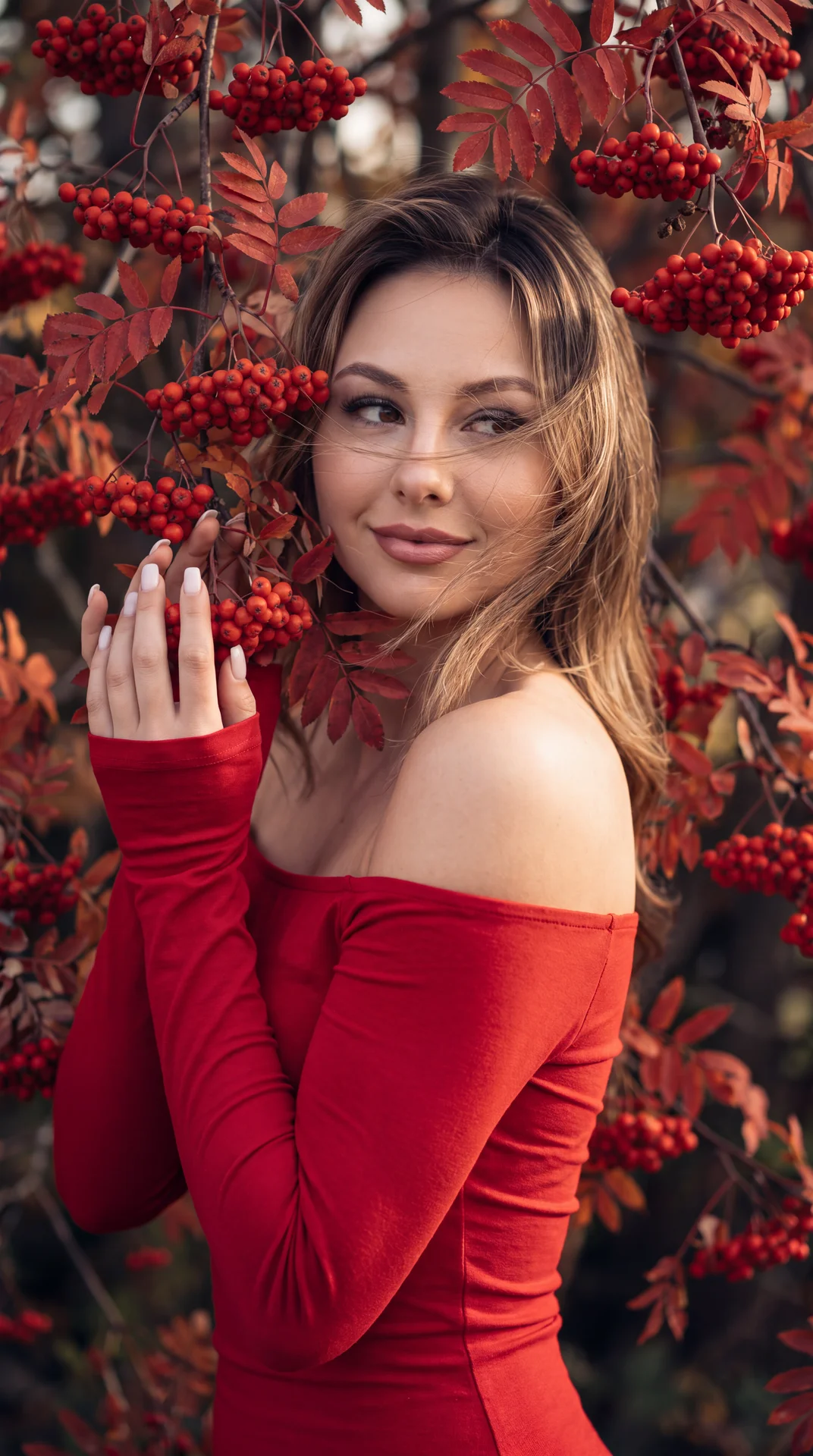 Рябина