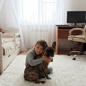 Ребенок обнимает собаку, сидя на белом ковре , сзади ребёнка большое окно, на окнах белая тюль. Слева детская кровать, справа стол компьютерный и стул