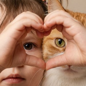 Малыш с котом